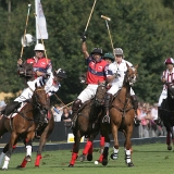 Polo, Commercial Wedding Photographers: Photoscience.co.uk